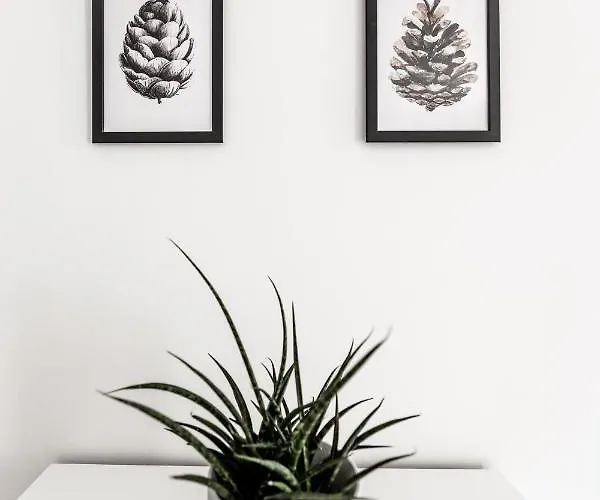 Quercus Contactless Check-in 4* Patergassen